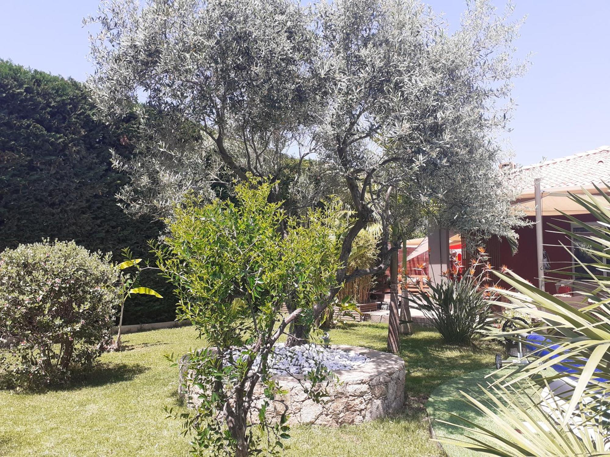 Chambre D'Hotes Casa Lucia Furiani Exterior photo